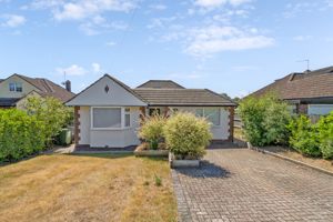 Photo 20- click for photo gallery